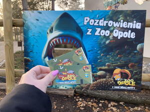 Co vidět a zažít v zoo Opolí? A má smysl se tady vydávat?