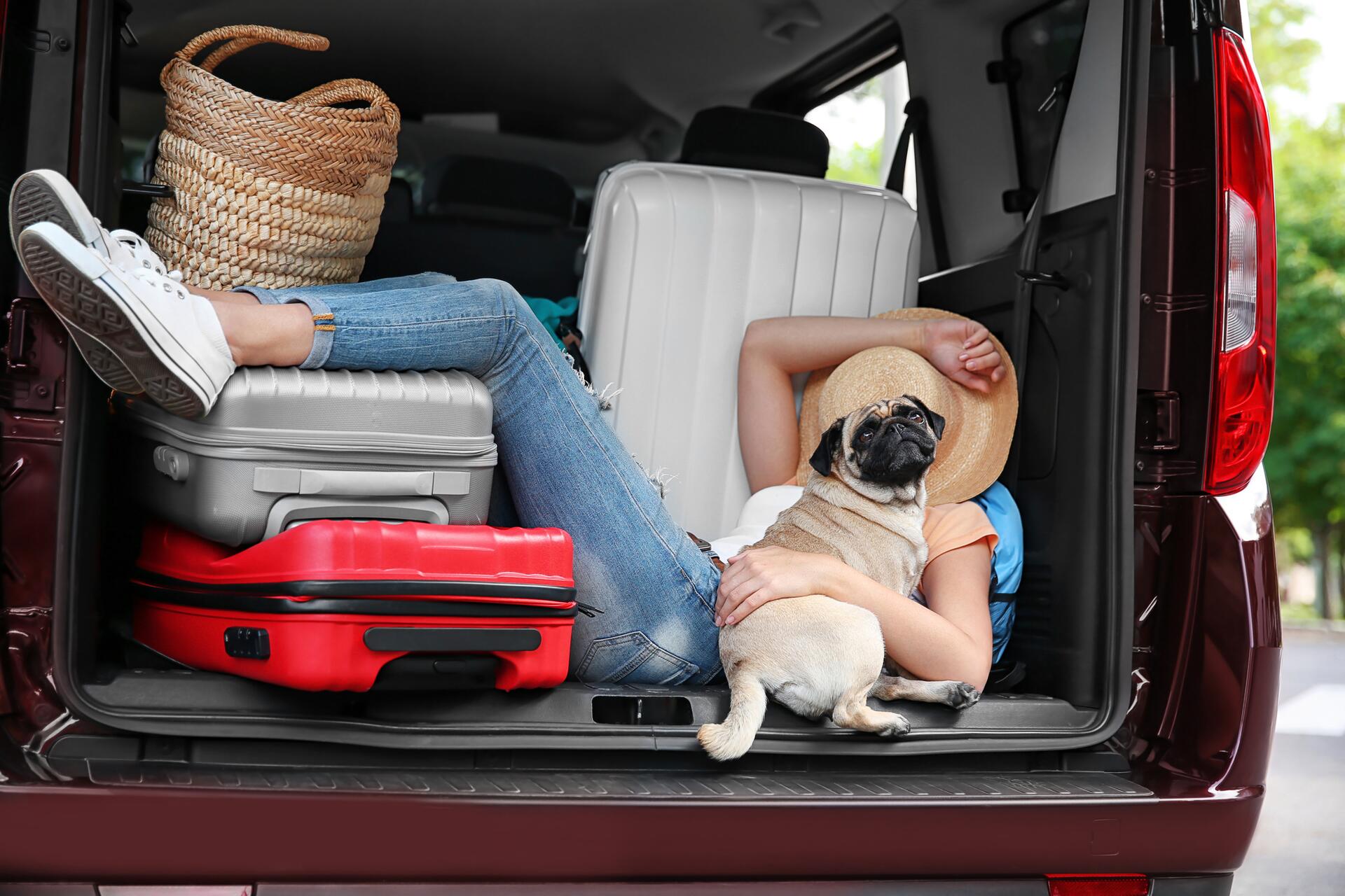 Kde lze spát v autě na dovolené? Některé země spánek v autě zakazují