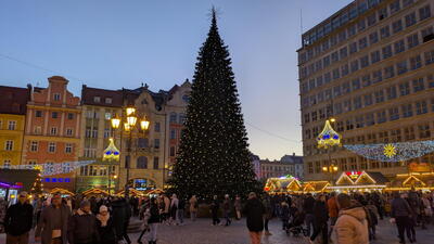 Vánoční stromeček na trzích