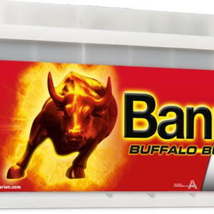 Banner Batterien GmbH Autobaterie Banner Buffalo Bull SHD 670 33,170Ah,12V ( 67033 ), tech