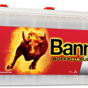 Banner Batterien GmbH Autobaterie Banner Buffalo Bull SHD 725 11,225Ah,12V ( 72511 ), tech