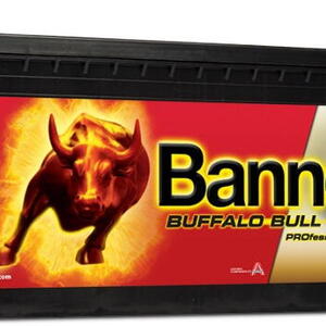 Banner Batterien GmbH Autobaterie Banner Buffalo Bull SHD PROfessional 725 03, 225Ah, 12V 