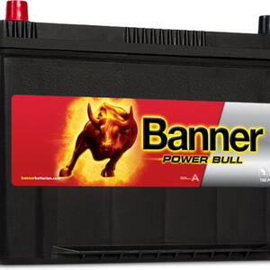 Banner Batterien GmbH Autobaterie Banner Power Bull 12V 95Ah 720A, P9505, technologie Ca/C