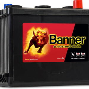 Banner Batterien GmbH Autobaterie Banner Starting Bull, 77Ah, 450A, 6V, technologie Ca/Ca 