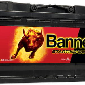 Banner Batterien GmbH Autobaterie Banner Starting Bull 95Ah,740A, 12V technologie Ca/Ca (5