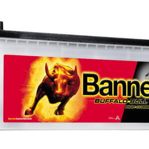 Banner Buffalo Bull 12V 150Ah 1150A 650 11