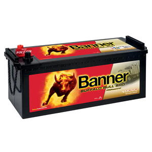 Banner Buffalo Bull SHD PROfessional 12V 145Ah 800A 645 03