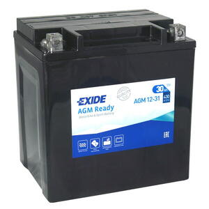 Exide AGM12-31