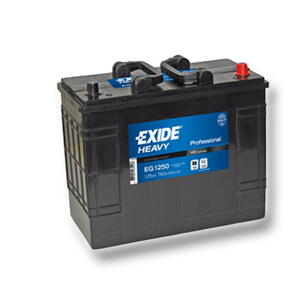 Exide Professional 12V 125Ah 640A EG1250