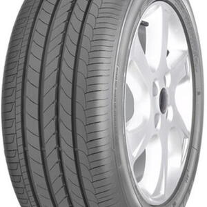 Letní pneu Goodyear EFFICIENTGRIP 205/55 R16 91W RunFlat