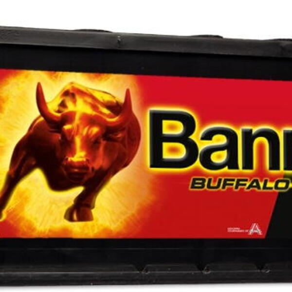 Banner Batterien GmbH Autobaterie Banner Buffalo Bull 63211, 132Ah, 900A 12V, technologie 