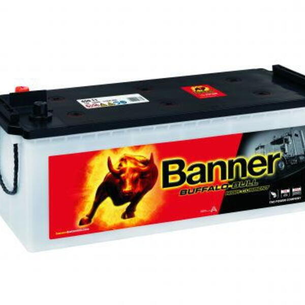 Banner Batterien GmbH Autobaterie Banner Buffalo Bull 65011, 150Ah, 1150A 12V, technologie