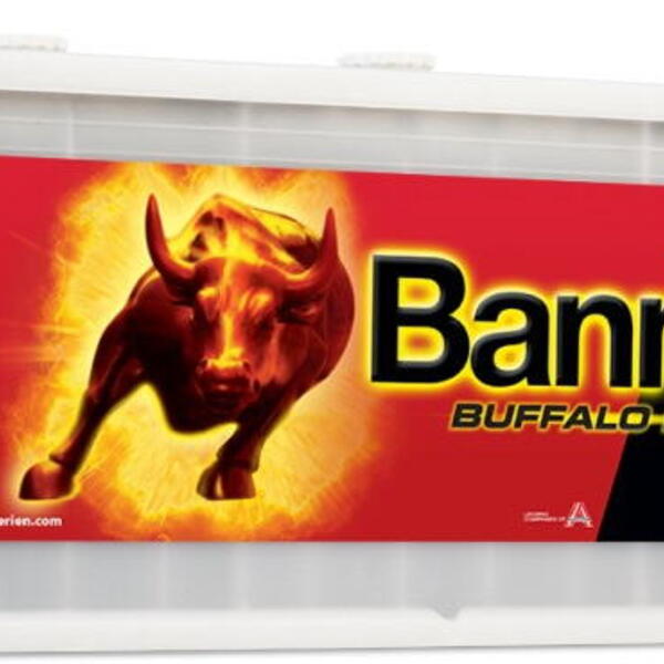 Banner Batterien GmbH Autobaterie Banner Buffalo Bull 68089, 180Ah, 950A 12V technologie S