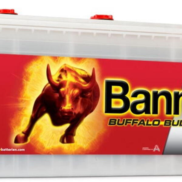 Banner Batterien GmbH Autobaterie Banner Buffalo Bull SHD 725 11,225Ah,12V ( 72511 ), tech