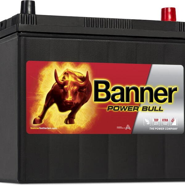 Banner Batterien GmbH Autobaterie Banner Power Bull 12V 45Ah 360A, P4523, technologie Ca/C