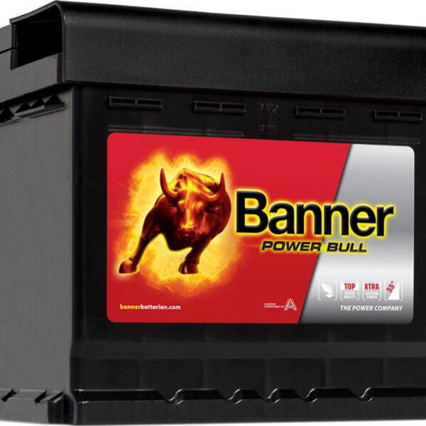 Banner Batterien GmbH Autobaterie Banner Power Bull 12V 50Ah 450A, P5003, technologie Ca/C