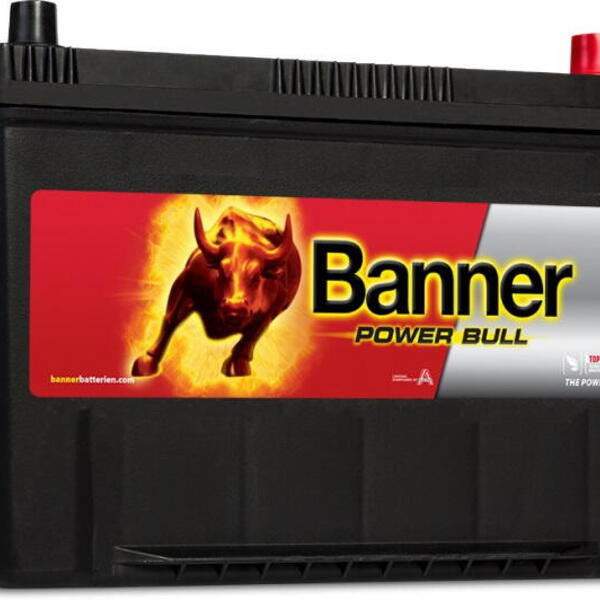 Banner Batterien GmbH Autobaterie Banner Power Bull 12V 95Ah 740A, P9504, technologie Ca/C