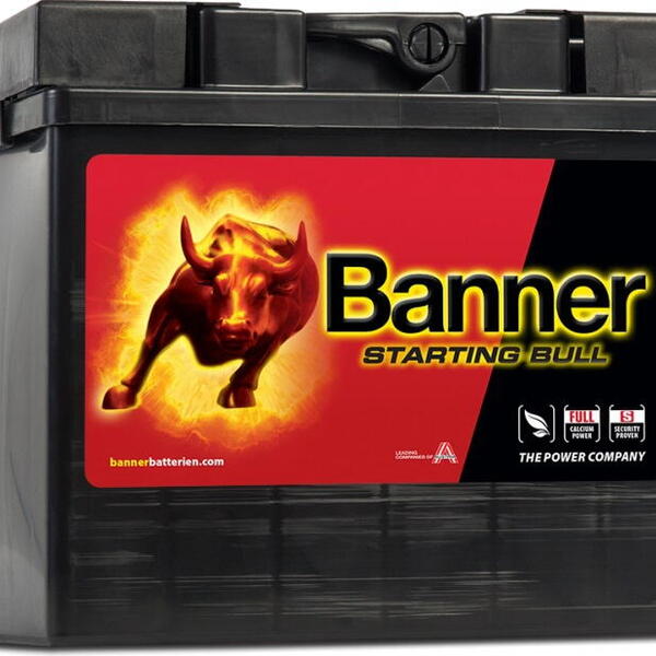 Banner Batterien GmbH Autobaterie Banner Starting Bull 30Ah,300A, 12V technologie Ca/Ca (5