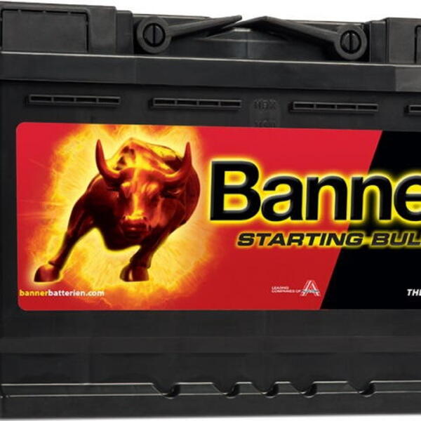 Banner Batterien GmbH Autobaterie Banner Starting Bull 72Ah,640A, 12V technologie Ca/Ca (5