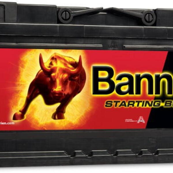 Banner Batterien GmbH Autobaterie Banner Starting Bull 88Ah,660A, 12V technologie Ca/Ca (5