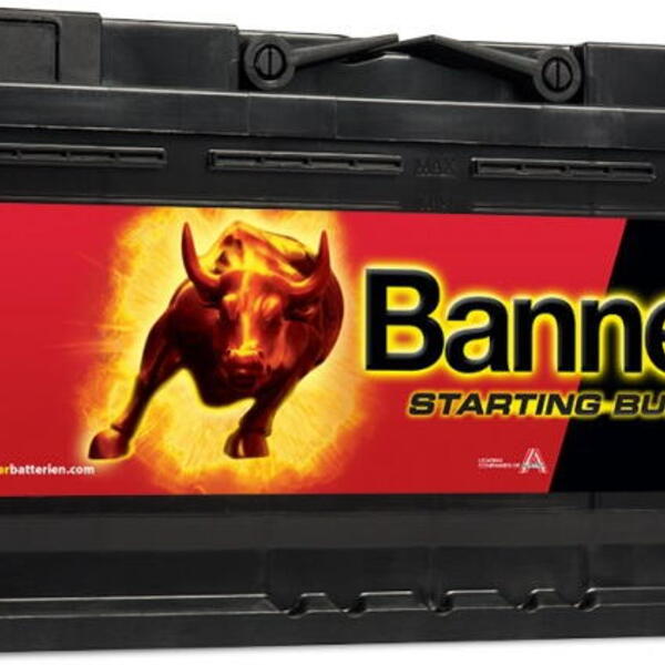 Banner Batterien GmbH Autobaterie Banner Starting Bull 95Ah,740A, 12V technologie Ca/Ca (5